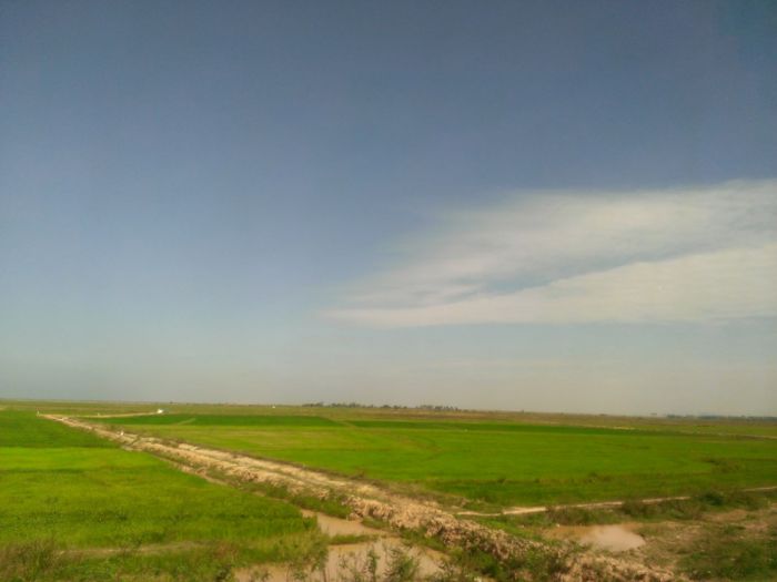 IMAG2425.jpg
