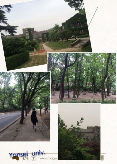 延世大学