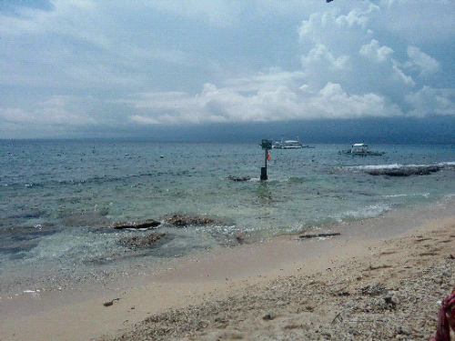 IMG_20160904_130522.jpg