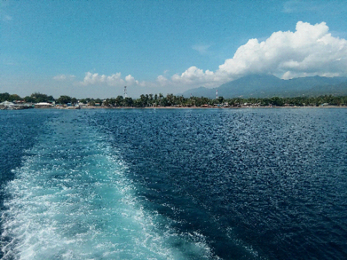 IMG_20160905_091059.jpg