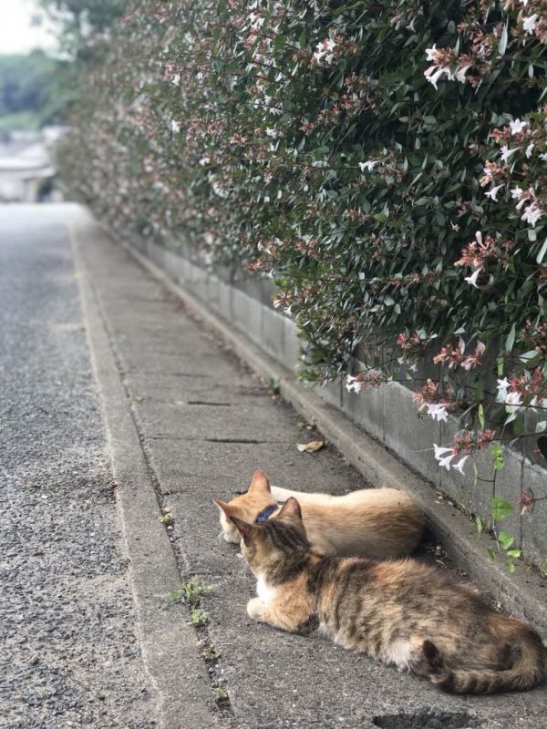 微信图片_20180619120411.jpg