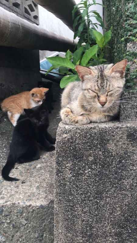 微信图片_20180619120338.jpg