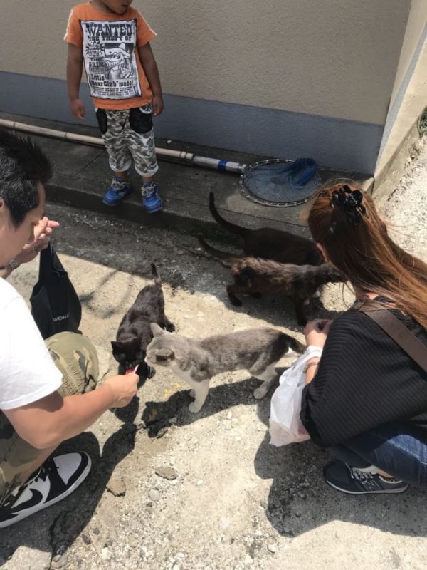 微信图片_20180619120344.jpg