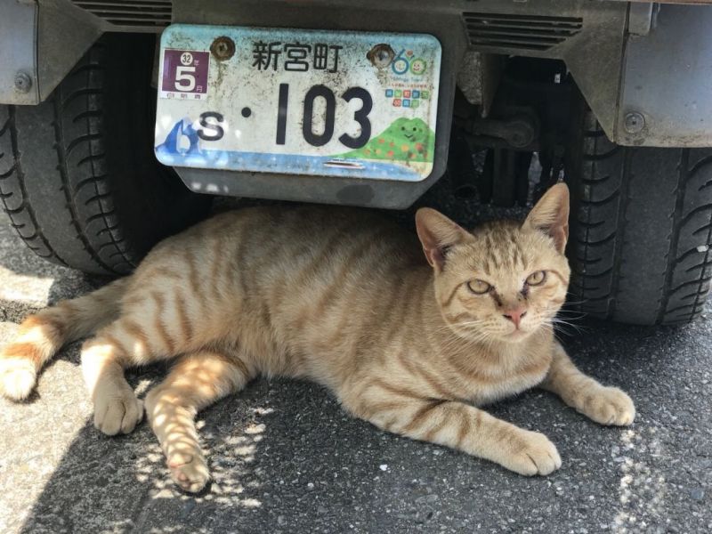 微信图片_20180619120349.jpg