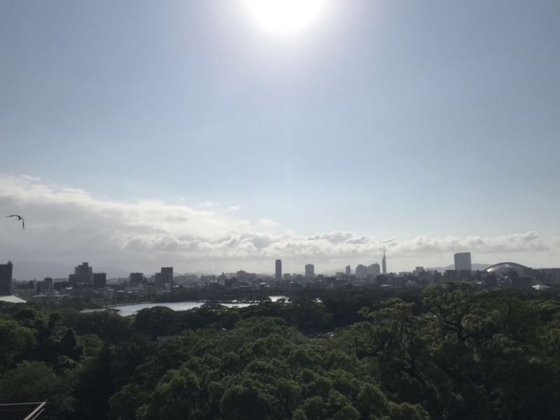 微信图片_20180619120630.jpg